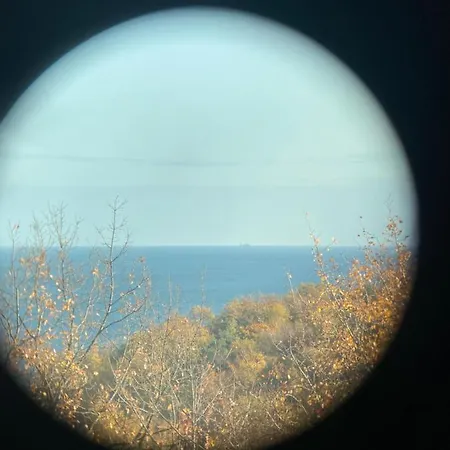 Horizon Z Widokiem Na Morze *