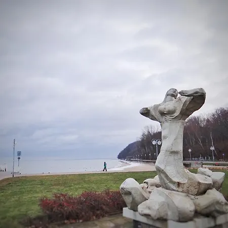 Horizon Z Widokiem Na Morze *