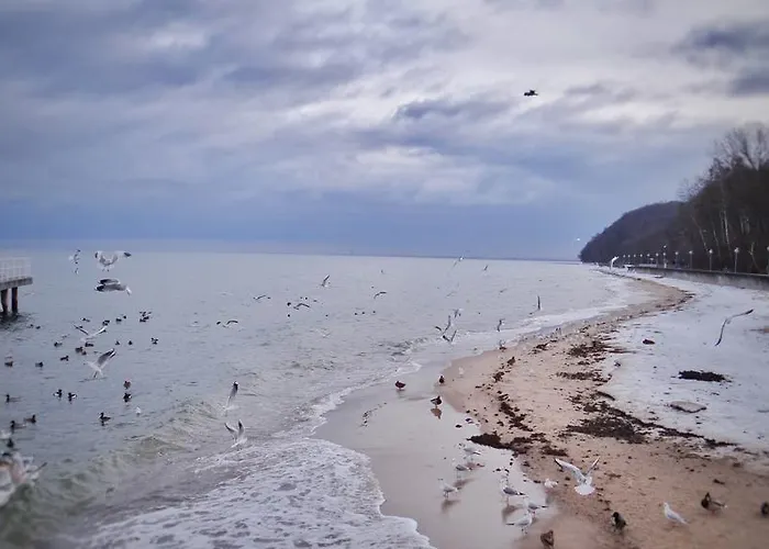 Horizon Z Widokiem Na Morze 公寓 *